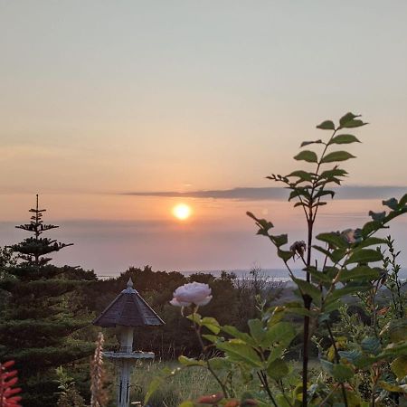 Hafoty Farm Cottages Caernarfon Esterno foto